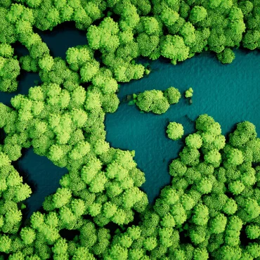 Sustainability