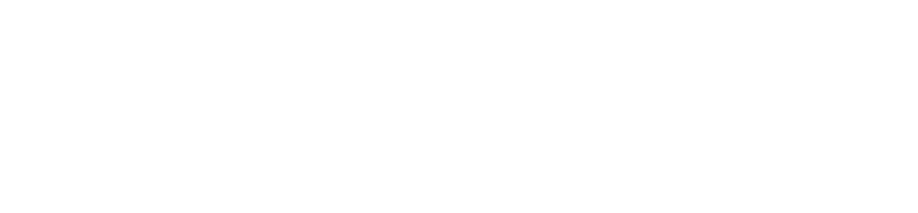 Software Solutions for Arxonas