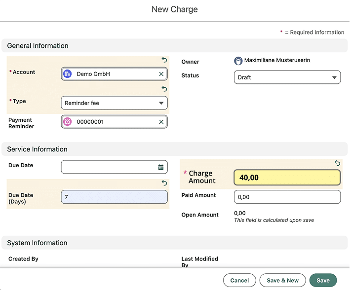Eingabemaske zur Erfassung einer neuen Mahngebühr in Salesforce. Eingabemaske zur Erfassung einer neuen Mahngebühr in Salesforce.